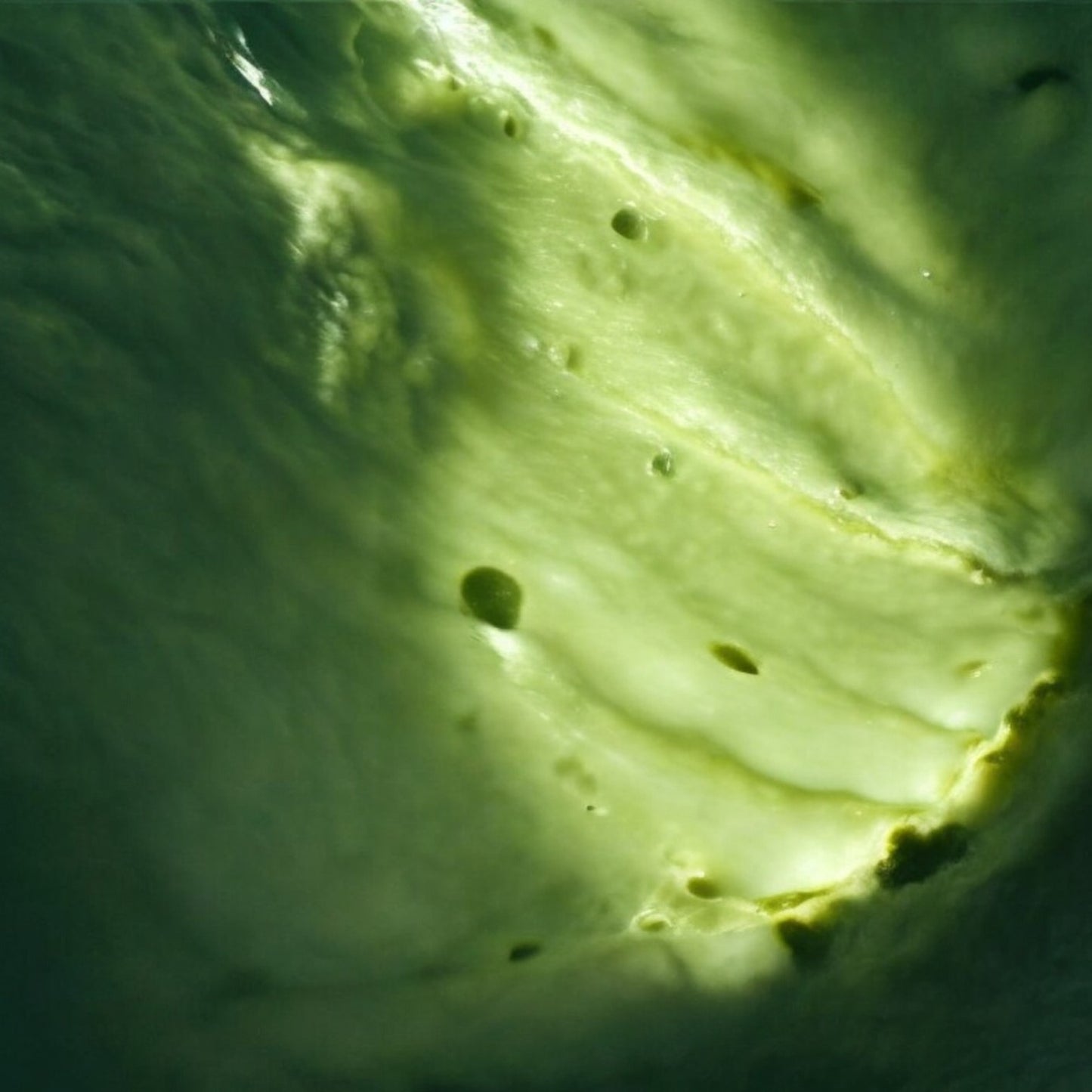 GREEN TEA MATCHA FACE MOISTURIZER